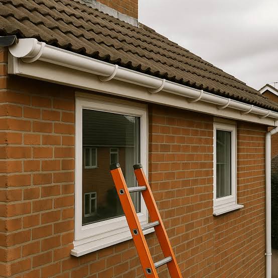 Gutter Overhaul & Clearance
